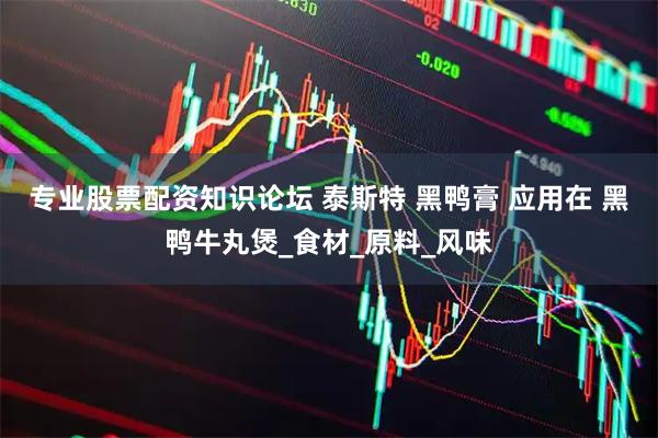 专业股票配资知识论坛 泰斯特 黑鸭膏 应用在 黑鸭牛丸煲_食材_原料_风味