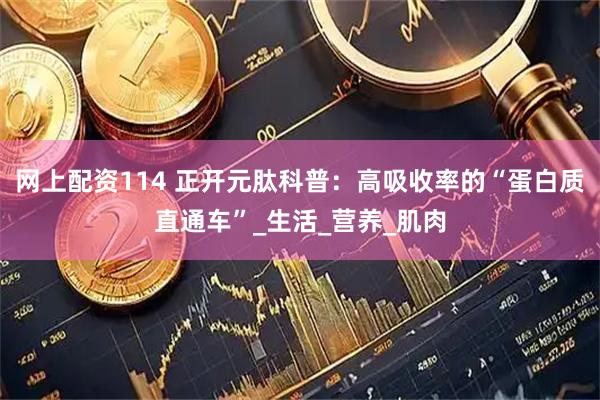 网上配资114 正开元肽科普：高吸收率的“蛋白质直通车”_生活_营养_肌肉